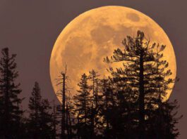 खगोल प्रेमींसाठी खास पर्वणी; चार डिसेंबरला दिसणार “सुपरमून”