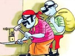 चोरीसाठी फ्युज काढून गावात अंधार केला;कपाट फोडून 9लाखासह सोन्याचा मुद्देमाल गायब केला