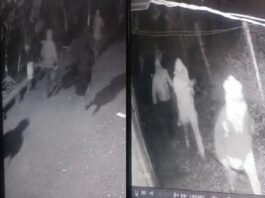 एसबीआय बँकेच्या वाडीगोद्री शाखेत चोरीचा प्रयत्न