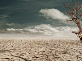 शेतकऱ्यांची चिंता वाढली मान्सूनवर मोठं संकट,स्कायमेटचा अंदाज