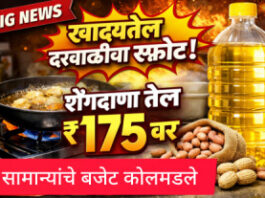 खाद्यतेलाच्या किंमतीत 30% उसळी; शेंगदाणा तेल ₹175 वर, सर्वसामान्यांचे बजेट कोलमडले