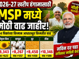 २०२६-२७ खरीप हंगामासाठी एमएसपी (MSP) वाढ जाहीर; सूर्यफूल, कापूस, तूरीला फायदा