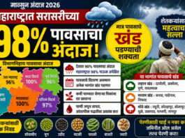 शेतकऱ्यांसाठी महत्त्वाची बातमी: राज्यात 98% पावसाचा अंदाज, डॉ. साबळे यांनी दिला इशारा