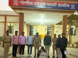 परळी पोलिसांचा धर्मापुरीत छापा;20 किलोहून अधिक गांजा जप्त, दोघांवर गुन्हा