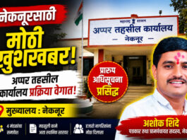 नेकनूर : अप्पर तहसील कार्यालयाच्या स्थापनेची प्रक्रिया वेगाने; प्रारूप अधिसूचना प्रसिद्ध