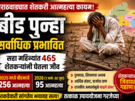 बीड पुन्हा शेतकरी आत्महत्यांमध्ये आघाडीवर; मराठवाड्यात सहा महिन्यांत ४६५ आत्महत्या