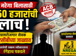 शेतविहिरीचे बिल मंजूर करण्यासाठी 60 हजारांची लाच; ग्रामरोजगार सेवक एसीबीच्या जाळ्यात